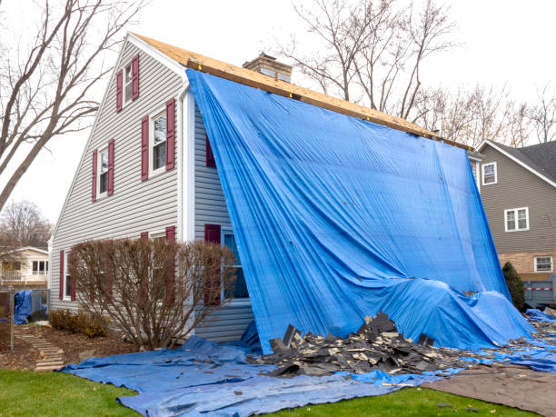 Best Demolition Debris Removal  in Untain Grove, MO